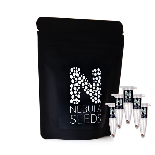 Premium Cannabis Seeds Pack