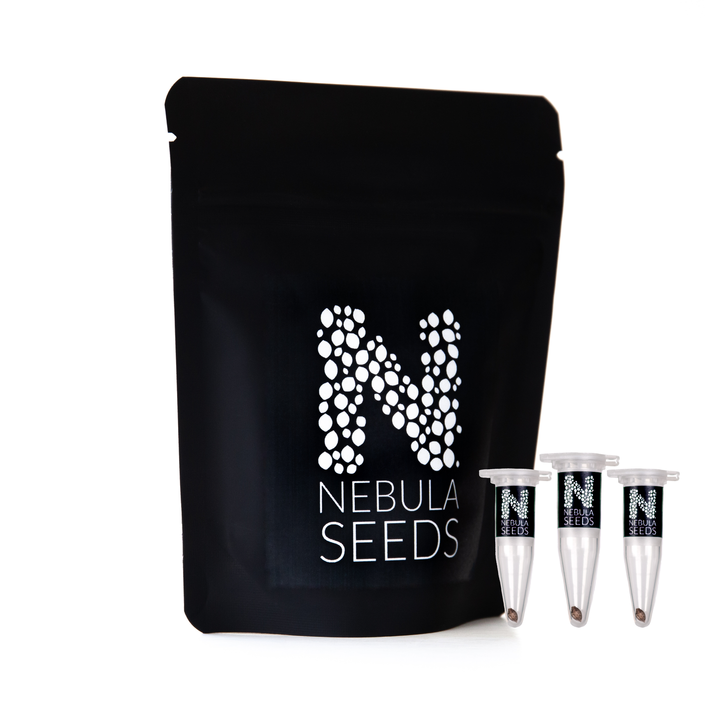 Beginner's Cannabis Seeds Pack