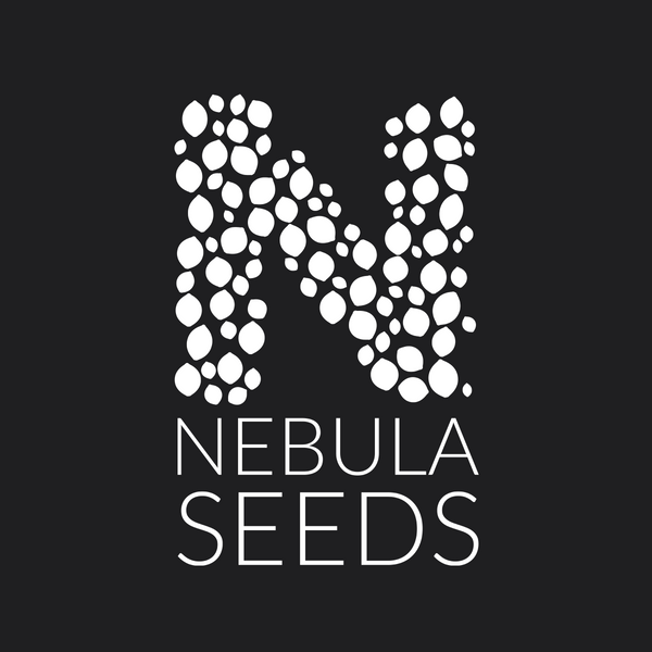 Nebula Seeds