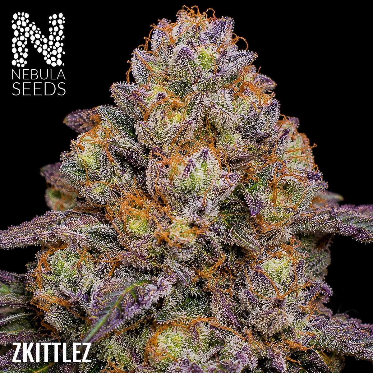Zkittlez - Buy South African Cannabis Seeds Nebula Seeds