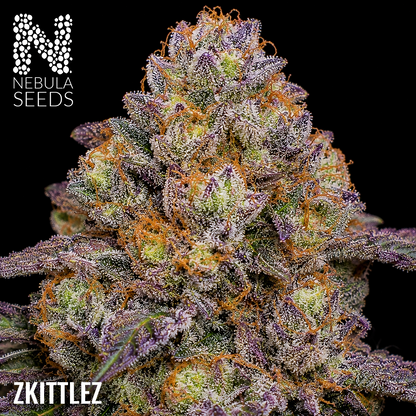 Zkittlez - Buy South African Cannabis Seeds Nebula Seeds